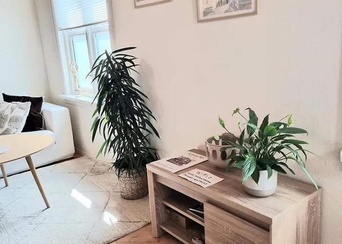 Sentralt,unikt Lite Bergenshus Med Sjel Pa Fine Nostet! 度假居